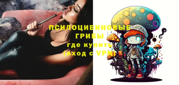 амф Володарск
