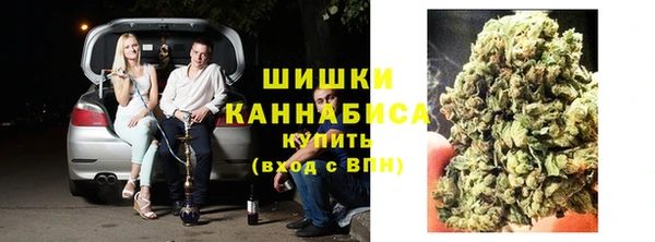 амф Володарск